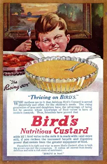 Spoon: Advert, Bird's Custard