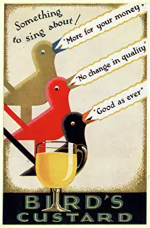 Custard: Advert, Bird's Custard