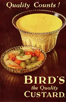Counts: Advert, Bird's Custard