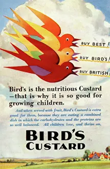 Custard: Advert, Bird's Custard