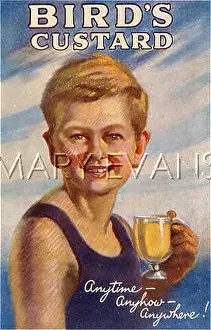 Anytime: ADVERT/BIRD'S CUSTARD
