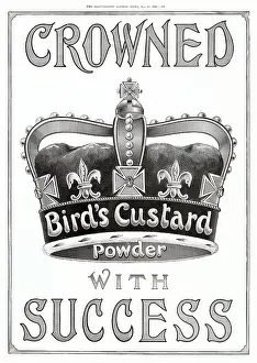 Custard: Advert for Bird's Custard Powder 1901
