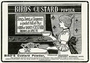 Custard: Advert for Bird's Custard Powder 1905
