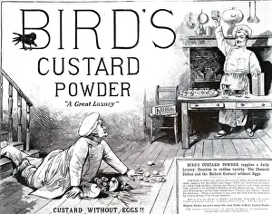 Custard: An advertisement for Bird's custard powder