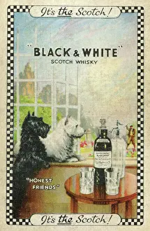 Soda: Advert, Black & White Scotch Whisky