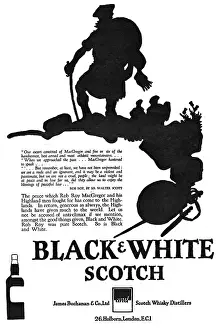 Macgregor: Advertisement for Black & White Whisky