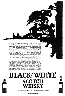Dennison: Advertisement for Black & White Whisky