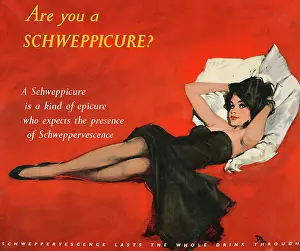 Epicure: Advertising board for Schweppes, by David Wright
