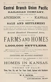 Grants: Advertisement in a book, THE HOMESTEAD GUIDE: