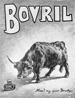Bovril: ADVERT/BOVRIL 1899