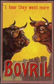 Consternation: Advertisement - Bovril