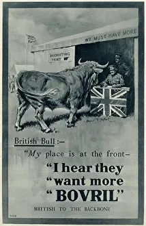 Extracts: Advert Bovril beef extracts 1915