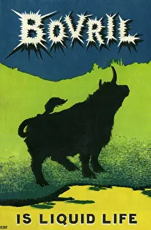 Bovril: ADVERT/BOVRIL/LIQUID