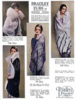 The Jazz Age Club Collection: Advert for Bradleys Furs, 1927