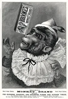 Scrubbing: Advert for Brooke's Monkey Brand Soap 1895