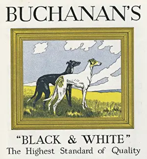 Whippet: Advertisement, Buchanan's Black & White whisky