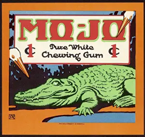 Crocodiles: ADVERT/CHEWING GUM CROC