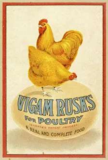 Rusks: ADVERT/CHICKEN FEED
