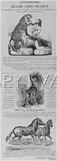 Circo: ADVERTISEMENT FOR CIRCUS