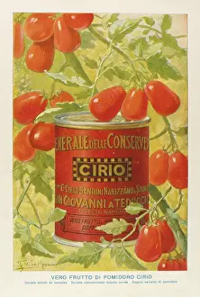 Extract: Advertisement for Cirio concentrated tomato puree
