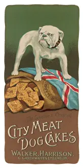 Garthwaite: Advertisement for City Meat Dog Cakes