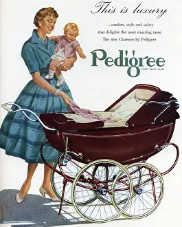 Childcare: Advertisement for Clarence pram by Pedigree