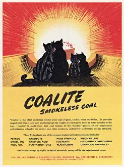 Grate: Advert for Coalite smokeless coal 1951