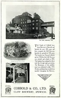 Ipswich: Advert, Cobbold & Co Ltd, Cliff Brewery, Ipswich