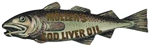 Mullers: ADVERT/COD LIVER OIL