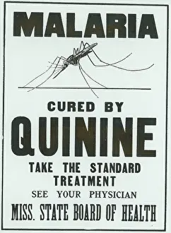 Parasite: Advertisement for a cure for Malaria issued by