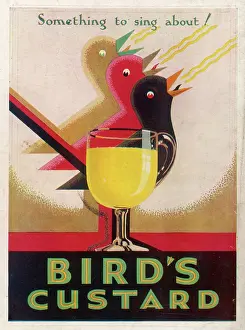 Custard: ADVERT/CUSTARD/3 BIRDS