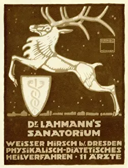 Surgeries: An advertisement for Dr. Lahmanns sanitarium