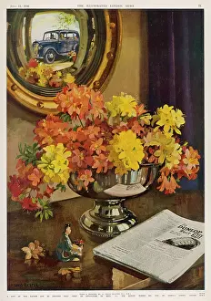 Dunlop: ADVERT FOR DUNLOP