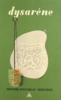 Infection: Advertisement for Dysarene, for digestive health