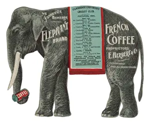 Fixtures: Advert - Elephant Coffee