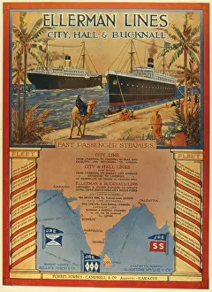 Wyllie: Advertisement for Ellerman Lines