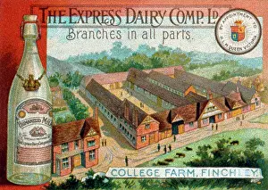 Humanized: Advertisement for The Express Dairy Co Ltd