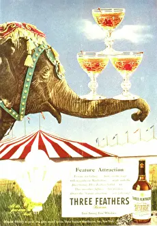 Balancing: Advertisement for Three Feathers Reserve Whisky