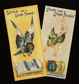 Coombs: ADVERT/FLOUR COOMBS
