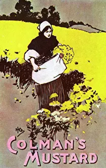 Colman: ADVERTISING/FOOD/MUSTARD