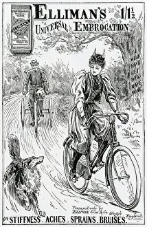 Ellimans: Advert for for Elliman's Universal Embrocation 1896