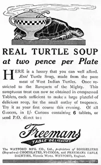 Freemans: Advert for Freemans real turtle Soup 1915