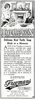 Cubes: Advert for Freemans Turtlekon soup 1919