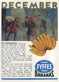 ADVERT/FYFFES BANANAS