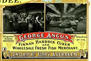 Wholesale: Advert, George Angus, Fish Merchant, Aberdeen