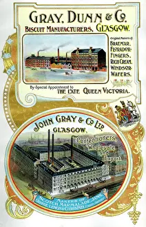 Biscuits: Advert, Gray, Dunn & Co, Glasgow, Scotland