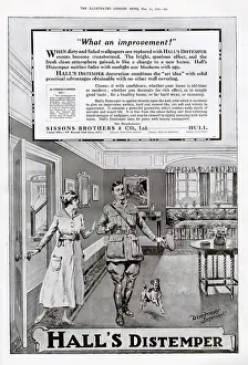 Distemper: Advert for Hall's Distemper 1919