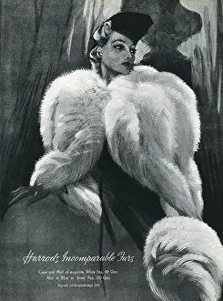Muffs: Advert for Harrods white fox capes and muffs 1937