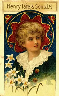 Narcissus: Advertisement for Henry Tate & Sons Ltd