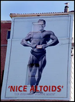 Hoarding: Advertising hoarding on the side of a building with seagull